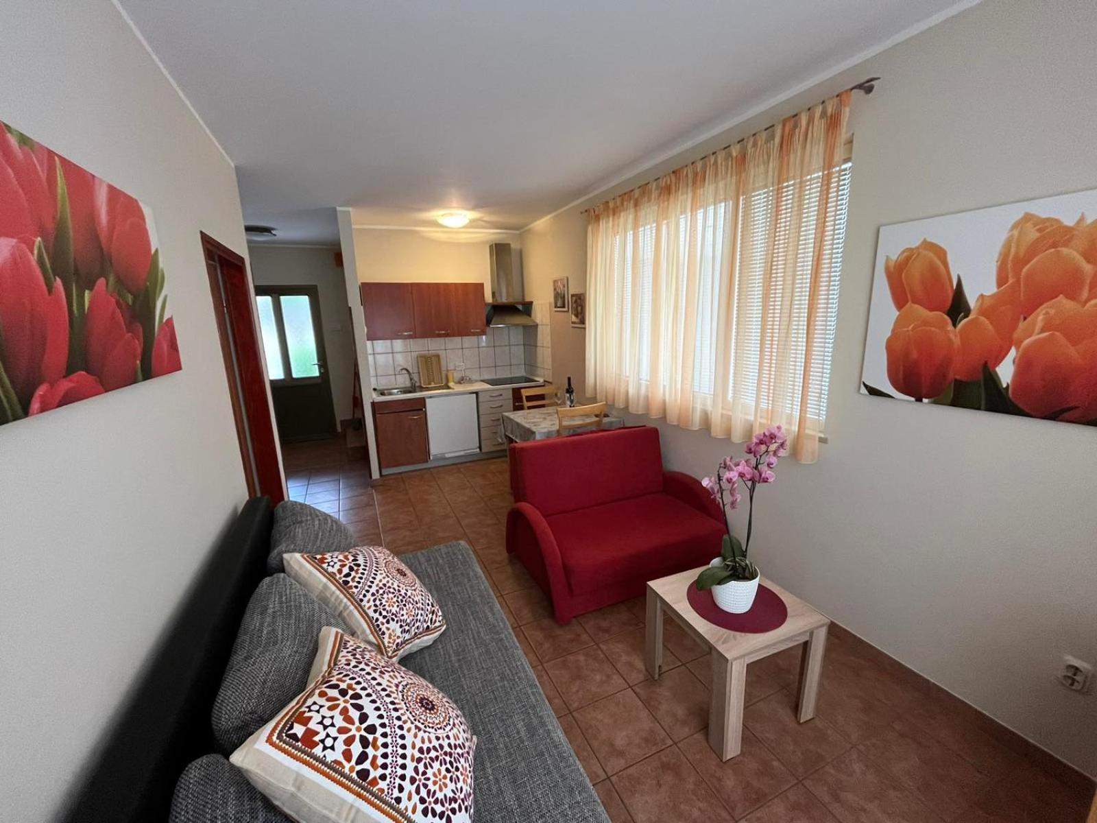 Family Apartments Suzi Rovinj Dış mekan fotoğraf