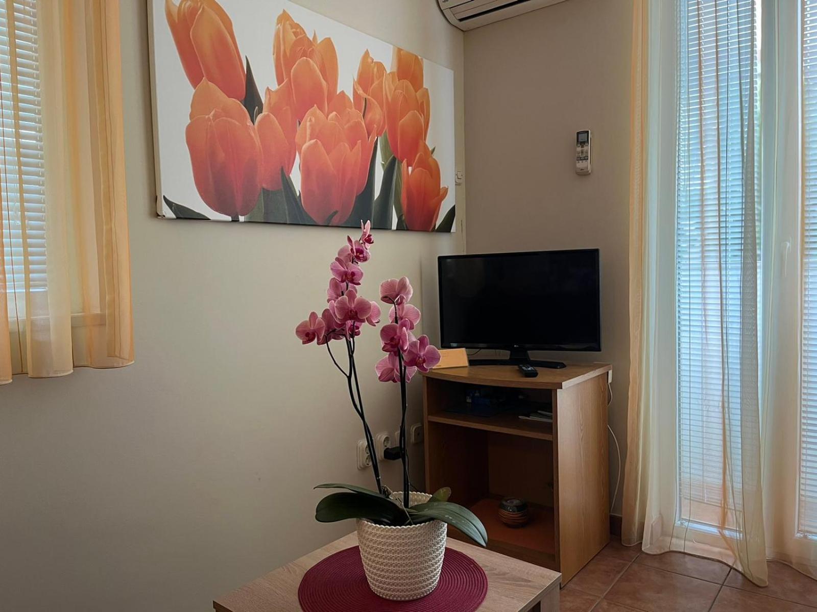 Family Apartments Suzi Rovinj Dış mekan fotoğraf